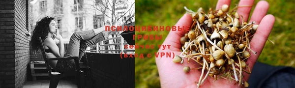 тгк Каменск-Шахтинский