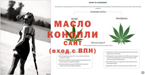 мет Касимов
