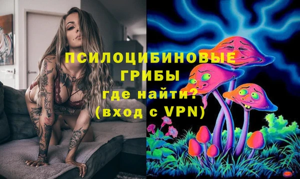 мет Каменногорск