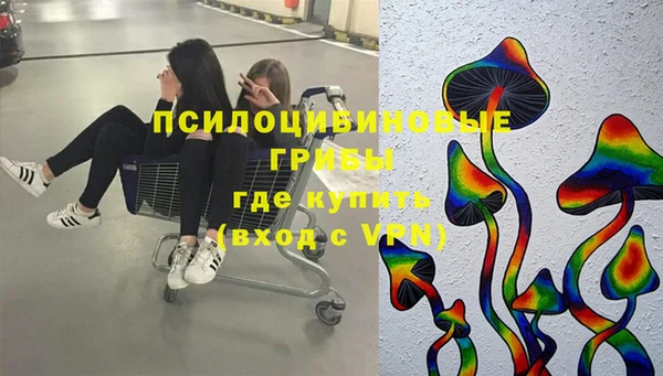бутират Каменка