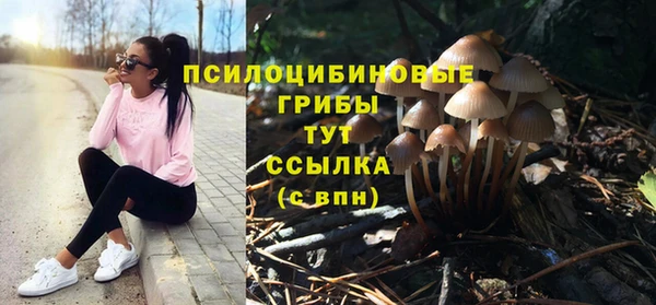 PSILOCYBIN Карпинск
