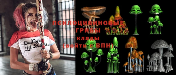 PSILOCYBIN Карпинск