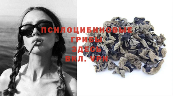 PSILOCYBIN Карпинск